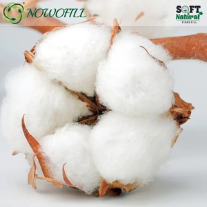 Algodón aire caliente - Product Image 5