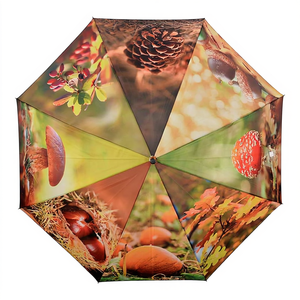 Sombrilla con Diseño Elegante y Motivo Otoñal - Product Image 2