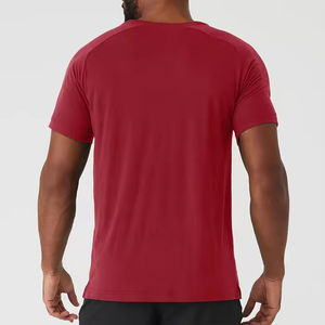 Vente de gros OEM T-shirts de fitness pour hommes T-shirt de sport à manches courtes et à séchage rapide pour hommes - Product Image 2