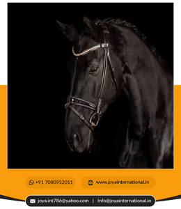Bride en cuir Micklem pour l'équitation occidentale Produits de cheval intelligents - Product Image 3