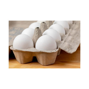 ไข่ไก่สดใหม่ คุณภาพดีที่สุด ผลิตตามสั่ง ขายส่ง ไข่ขาวสดใหม่ - Product Image 6