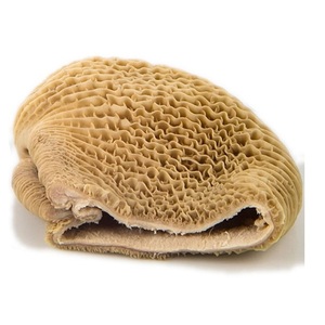 Viande de buffle halal fraîche sans os / Omasum de bœuf congelé / Bœuf congelé - Product Image 3