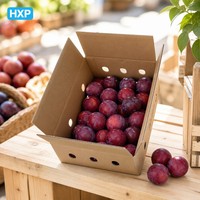 Op maat bedrukte geventileerde golfkartonnen fruitverzenddoos voor groentetransport