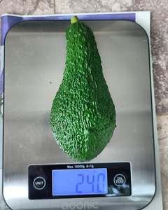 Aguacates Hass Frescos Premium |   Calibre 12/14/16/18/20/22 |   Cargas de Contenedores a Granel |   FOB/CIF - Product Image 4