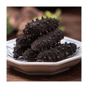 Concombre de mer séché du Mexique / Concombre de mer frais en gros - Product Image 6