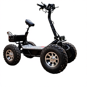 ÚLTIMA OFERTA UE: Scooter de Movilidad Todoterreno Plegable con Motor de 2 Tiempos y Eje de Transmisión de 60V 50Ah, ¡LISTO PARA ENVIAR! - Product Image 1