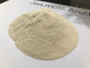 จําหน่ายผงคาราจีแนนธรรมชาติทั้งขายส่งและขายปลีกจากเวียดนาม - Product Image 2