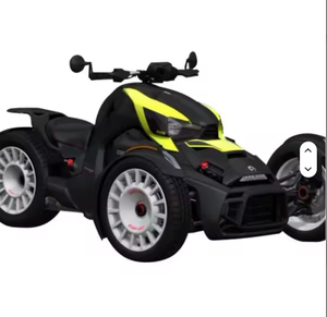 Super Offre 2025 : Panneaux Ryker Rally Rotax 900 ACE Epic - Product Image 4