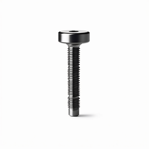 Vite a testa cilindrica con filettatura interna 15X20, placcatura in ossido nero, alluminio, misure filettatura M2 M5, diametro filettatura femmina 5mm, metrico DIN - Product Image 3
