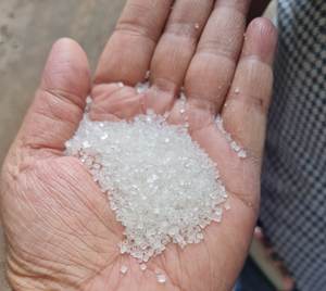 Sucre de canne raffiné naturel pur, vente chaude, glucose ICUMSA 45, sucre de betterave liquide, emballage en sac, NL, prix bas - Product Image 4