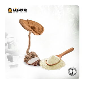 LiGNO TM02 ®   Extrait de champignon de lait de tigre de Malaisie, soutien énergétique, immunitaire et vitalité, prêt pour OEM ODM, nutraceutique naturel - Product Image 1