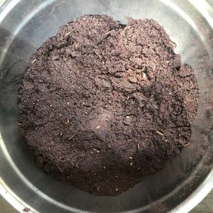 Poudre de Cyperus pour bâton d'encens OEM ingrédient de liaison naturel poudre d'encens naturel de vétiver du Vietnam - Product Image 6