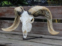 Décoration murale en corne sculptée, Tête de chèvre rétro, Statues de crâne, Matériau organique, Écologique, Animal marin, Style européen pour la maison