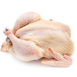 Pollo Entero Congelado con Certificación Halal para la Venta al por Mayor, Pollo Entero Halal Congelado, Pollo Congelado - Product Image 4