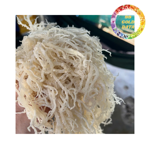 Vente en gros de haute qualité de matière première naturelle de mousse de mer pour les applications alimentaires et de santé - Product Image 2