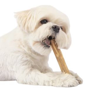 Jouet à mâcher pour chien en bois de café naturel de qualité supérieure pour les marques de produits écologiques pour animaux de compagnie - Product Image 5