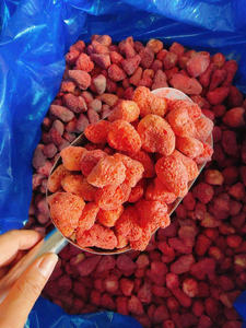 Fresa liofilizada de alta calidad fabricada para exportación al por mayor a grandes volúmenes, que sirve a distribuidores globales y empresas comerciales de alimentos. - Product Image 6