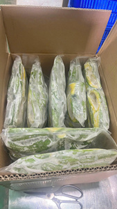 PURÉE D'AVOCAT CONGELÉE EN VRAC DE HAUTE QUALITÉ POUR SMOOTHIE ET DESSERT - Product Image 4