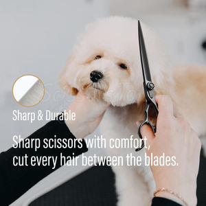 Ciseaux de toilettage pour animaux de compagnie pour chats chiens Sûr tranchant et durable Prise en main confortable Parfait pour le toilettage à la maison ou au salon - Product Image 2