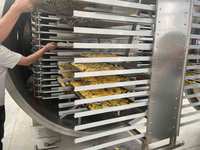 Commerciële lyofilisator vacuümvriesdroogapparatuur voor fruit, bloemen, instantkoffie, huisdierenvoer, vacuümvriesdroog productielijn