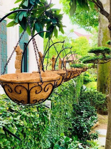 Pots en fibre de coco respectueux de l'environnement pour producteurs professionnels, détaillants et distributeurs agricoles - Product Image 6