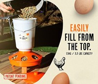 Mangeoire à poussins réglable en hauteur HEYBO, mangeoires et abreuvoirs en plastique pour volailles, mangeoire et abreuvoir automatiques pour poulets