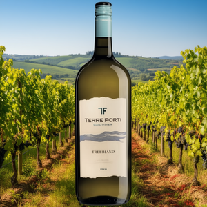 Italy-Made TERRE FORTI Trebbiano Rubicone IGT White <b>Wine</b> Crisp Everyday Italian Magnum 1500ml 6 Bottles Per Box - Product Image 3