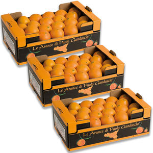 Limón Fresco al Por Mayor, Fruta Cítrica Dulce y Fresca con Calidad Premium, Origen Estadounidense - Product Image 4