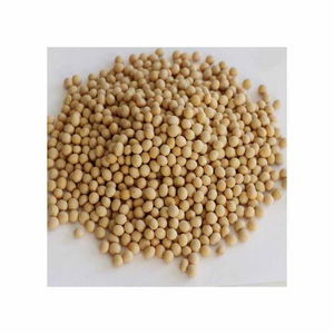 Graines de soja jaunes en vrac séchées naturelles sans OGM de la meilleure qualité - Product Image 5