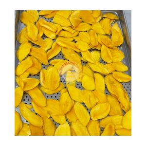 SNACK DE FRUTAS TROPICALES FAMILIAR EN SUPERMERCADO MANGO SUAVE SECO VENTA RÁPIDA 2025 REBANADAS DE MANGO DESHIDRATADO PRECIO COMPETITIVO - Product Image 3