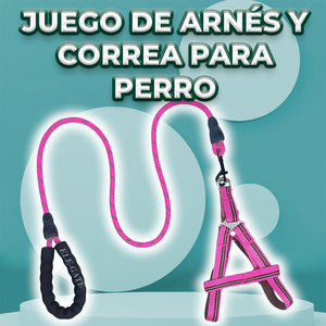 Ensemble Harnais et Laisse de Luxe pour Chien Taille XL – Confortable, Sûr, Anti-Évasion, Respirant, en Nylon et Acier Inoxydable, Style Solide et Motif Élégant - Product Image 6