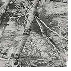 Alta calidad 95% poliéster 5% Spandex Fitness Atlético hombres secado rápido transpirable personalizado Fitness hombres deportes por vestido deportes - Product Image 4