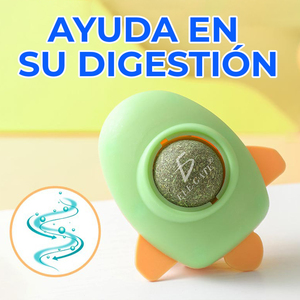 Kit Interattivo Eco-Friendly per Gatti: Giocattolo alla Moda per Animali Domestici con Silicone Sostenibile per il Gioco, Confezione in Scatola di Cartone - Product Image 4