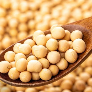 Soja Amarilla Seca con Alto Contenido de Proteína (50%), Sin OMG, 25 kg a Granel, Entrega Rápida para Venta al por Mayor, 2 Años de Vida Útil - Product Image 2