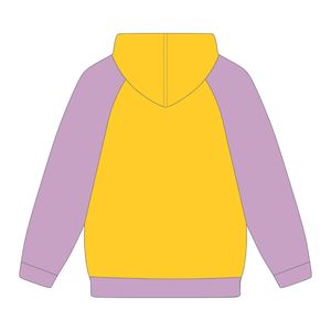 HBCU-Sudadera con capucha con mangas raglán doradas educadas, bordado de chenilla, hermandad griega Divine Nine Apparel, logotipo personalizado, Sudadera con capucha a la moda - Product Image 3