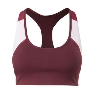 Women Gym Sports <b>Bra</b> High Support Padded Adjustable Straps Breathable Mesh Yoga Running Fitness Workout Activewear - Product Image 1