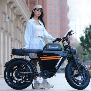 Vélo de montagne électrique en gros d'usine en Chine 1000W 48V 24AH Shimano générateur de moyeu arrière à vitesse variable vélo tout-terrain électrique - Product Image 5