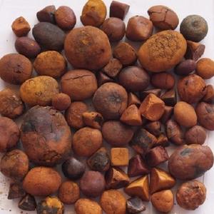 Wholesale <b>OX</b> Gallstones Cattle <b>OX</b> Gallstones Cow Gallstones - Product Image 3