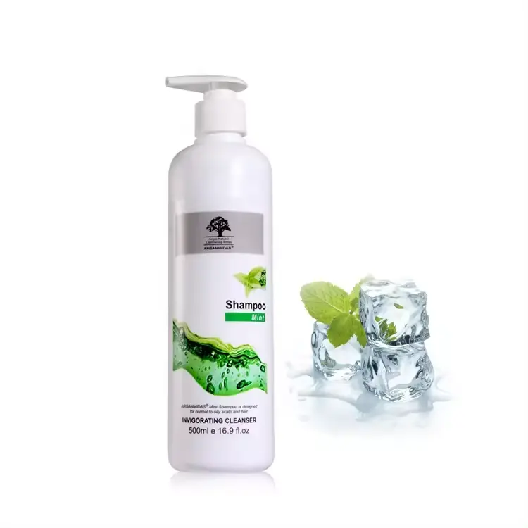 Produits les plus vendus Shampooing capillaire à l'essence de menthe Ingrédients du shampooing chimiques sans nettoyage