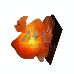 100% Tự Nhiên Himalaya Lạc Đà Hình Muối Chất Lượng Cao Khắc Động Vật Khoáng Sản Phiên Bản Giới Hạn Từ Pakistan Cho Trang Trí Nội Thất - Product Image 4