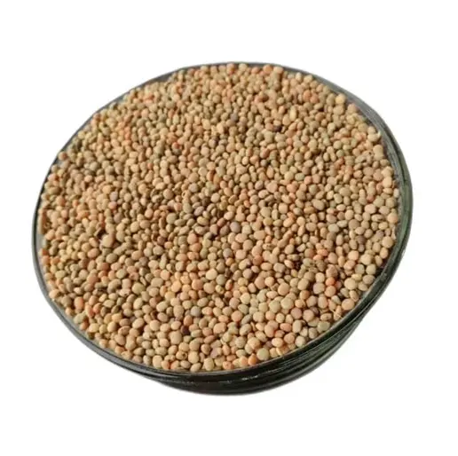 Fournisseur en vrac de graines de guar/haricots en grappe/graines de guar phali au prix de gros