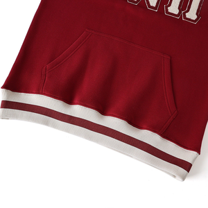 Sudadera de Invierno Delta Crimson DST Chenille con Cuello Redondo |   Sudadera Unisex Estilo Universitario con Logotipo Griego Bordado en la Parte Delantera y Ribetes - Product Image 3