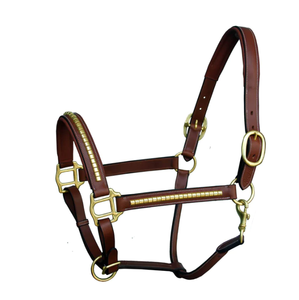 Halter en cuir rembourré saisonnier Clincher - Product Image 3
