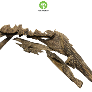 Bâtonnet d'encens naturel Premium 100% organique en bois d'agar au Vietnam Oudh, parfum de bois, très bois d'aigle, Gharuwood - Product Image 6