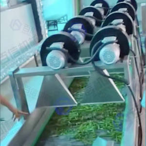 Ligne de traitement de poudre de feuilles de Moringa pure, naturelle et biologique, fournie par l'usine, avec moteur PLC haute efficacité, capacité de 100-2000 kg/h - Product Image 5