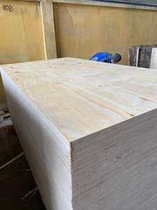 Contreplaqué commercial en bois de pin 1250x2500mm 15mm imperméable 9 plis Panneau extérieur colle E0 moderne - Product Image 2