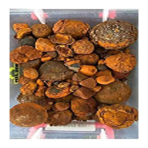 Cálculos biliares de ganado de grado de exportación para la venta en embalaje a granel a precio asequible - Product Image 5