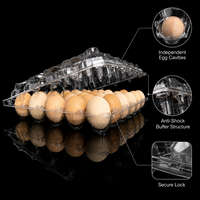 Boîte à œufs en plastique transparente en PET, 30 alvéoles, emballage type coquille avec compartiments indépendants pour opérations commerciales d'emballage d'œufs