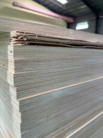 Tablero fenólico de madera contrachapada de abedul de diseño minimalista resistente de fábrica vietnamita de grado DD más vendido para apartamento de almacén