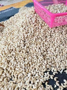 Noix de cajou crues séchées en gros / Snacks aux noix de cajou prêts à l'exportation - Product Image 5